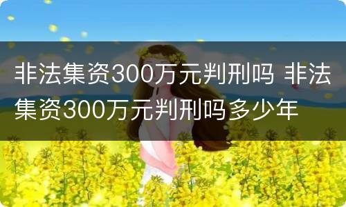 非法集资300万元判刑吗 非法集资300万元判刑吗多少年