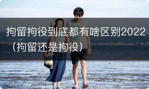 拘留拘役到底都有啥区别2022（拘留还是拘役）