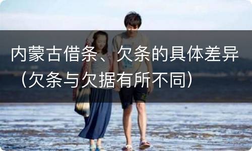 内蒙古借条、欠条的具体差异（欠条与欠据有所不同）