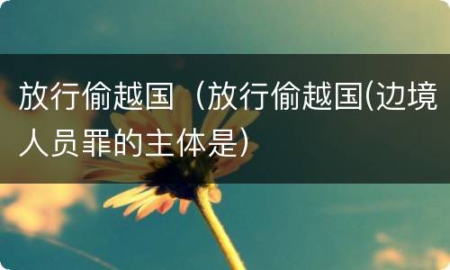 放行偷越国（放行偷越国(边境人员罪的主体是）