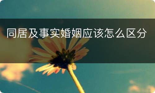 同居及事实婚姻应该怎么区分