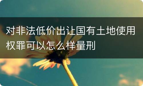 对非法低价出让国有土地使用权罪可以怎么样量刑