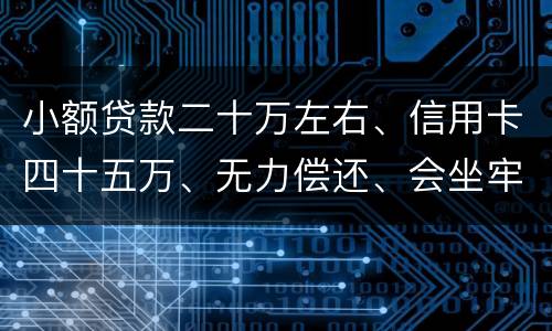 小额贷款二十万左右、信用卡四十五万、无力偿还、会坐牢