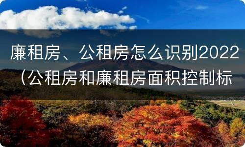 廉租房、公租房怎么识别2022（公租房和廉租房面积控制标准）