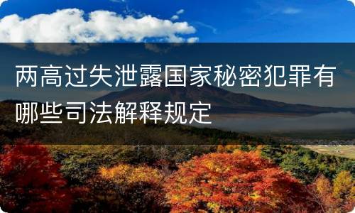 两高过失泄露国家秘密犯罪有哪些司法解释规定