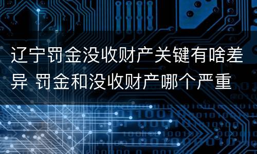 辽宁罚金没收财产关键有啥差异 罚金和没收财产哪个严重