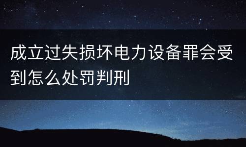 成立过失损坏电力设备罪会受到怎么处罚判刑