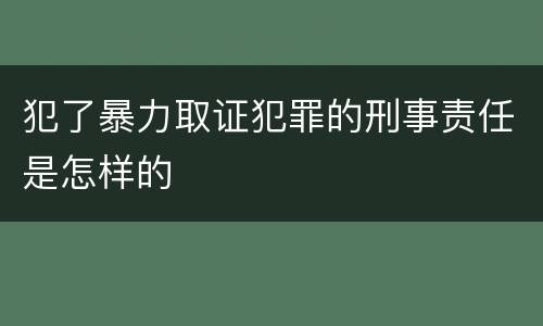 犯了暴力取证犯罪的刑事责任是怎样的