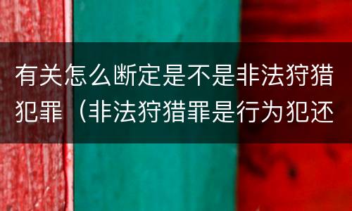 有关怎么断定是不是非法狩猎犯罪（非法狩猎罪是行为犯还是结果犯）