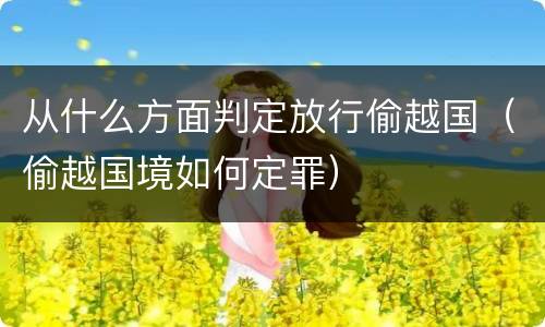 从什么方面判定放行偷越国（偷越国境如何定罪）