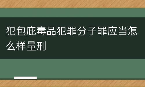 犯包庇毒品犯罪分子罪应当怎么样量刑