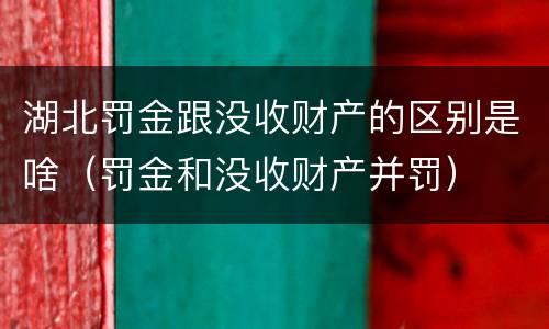湖北罚金跟没收财产的区别是啥（罚金和没收财产并罚）