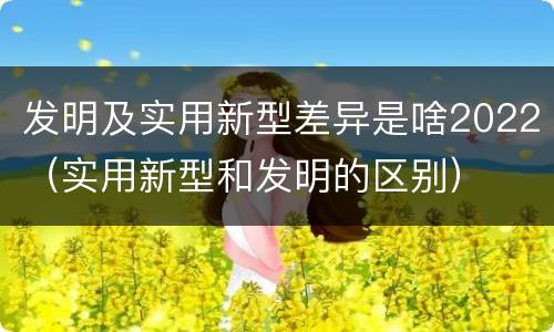 发明及实用新型差异是啥2022（实用新型和发明的区别）