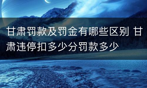 甘肃罚款及罚金有哪些区别 甘肃违停扣多少分罚款多少