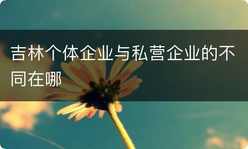 吉林个体企业与私营企业的不同在哪