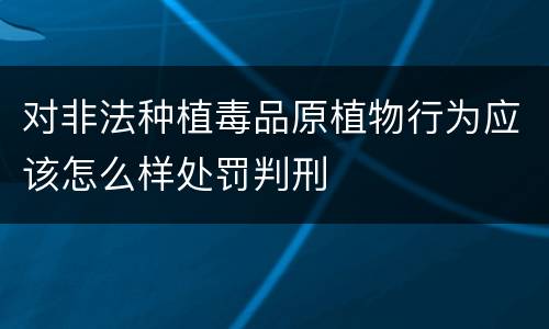 对非法种植毒品原植物行为应该怎么样处罚判刑