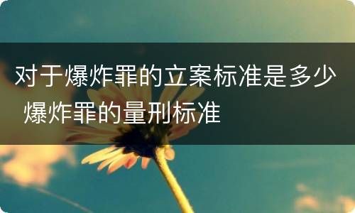 对于爆炸罪的立案标准是多少 爆炸罪的量刑标准