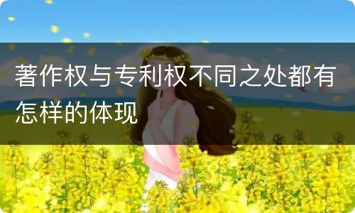 著作权与专利权不同之处都有怎样的体现