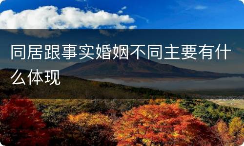 同居跟事实婚姻不同主要有什么体现