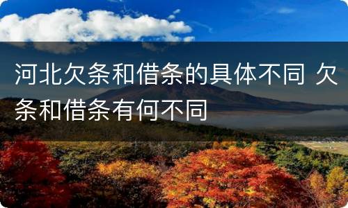河北欠条和借条的具体不同 欠条和借条有何不同