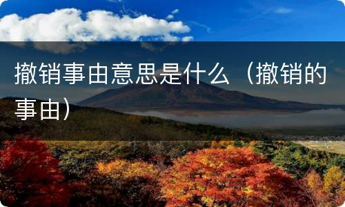 撤销事由意思是什么（撤销的事由）