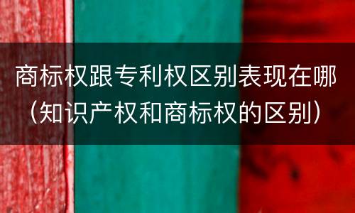 商标权跟专利权区别表现在哪（知识产权和商标权的区别）