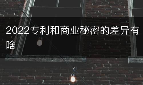 2022专利和商业秘密的差异有啥