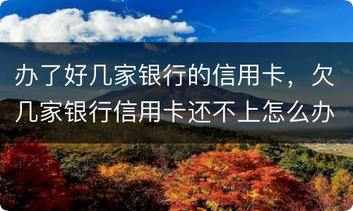 办了好几家银行的信用卡，欠几家银行信用卡还不上怎么办