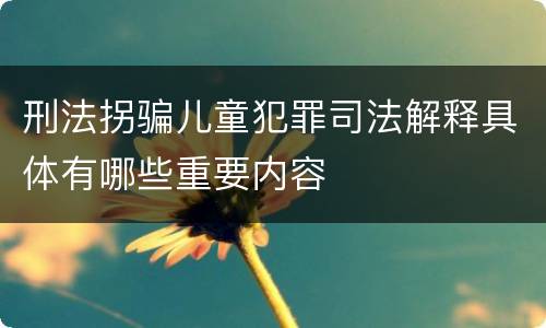 刑法拐骗儿童犯罪司法解释具体有哪些重要内容