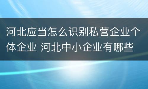 河北应当怎么识别私营企业个体企业 河北中小企业有哪些