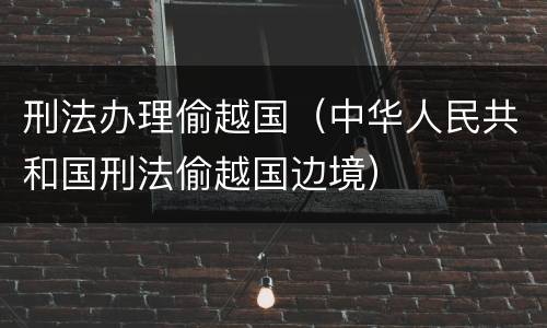 刑法办理偷越国（中华人民共和国刑法偷越国边境）