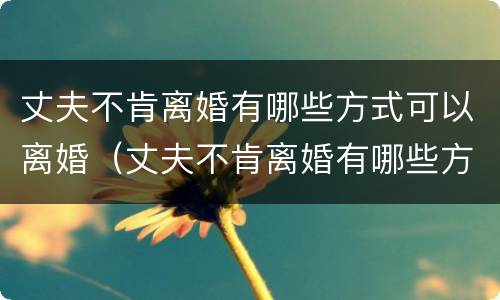 丈夫不肯离婚有哪些方式可以离婚（丈夫不肯离婚有哪些方式可以离婚呢）