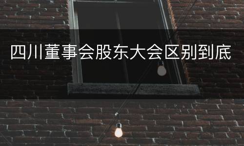 四川董事会股东大会区别到底