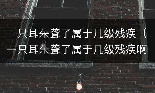 一只耳朵聋了属于几级残疾（一只耳朵聋了属于几级残疾啊）