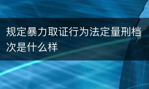 规定暴力取证行为法定量刑档次是什么样