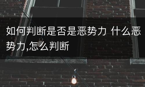 如何判断是否是恶势力 什么恶势力,怎么判断