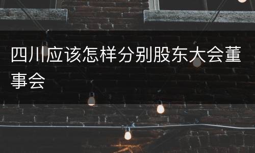 四川应该怎样分别股东大会董事会