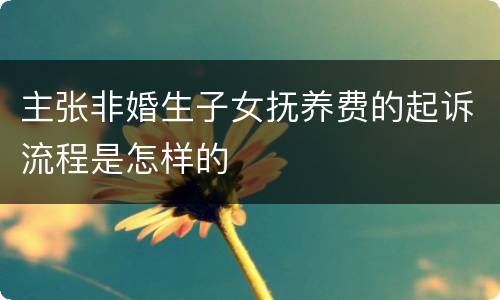 主张非婚生子女抚养费的起诉流程是怎样的