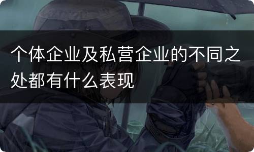 个体企业及私营企业的不同之处都有什么表现