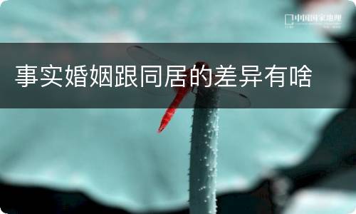 事实婚姻跟同居的差异有啥