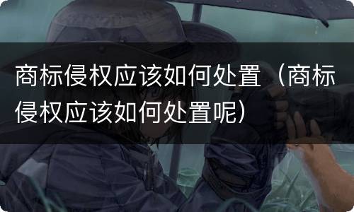 商标侵权应该如何处置（商标侵权应该如何处置呢）