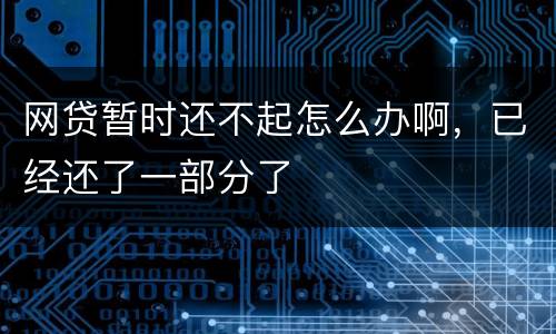 网贷暂时还不起怎么办啊，已经还了一部分了