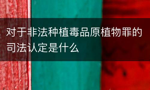 对于非法种植毒品原植物罪的司法认定是什么