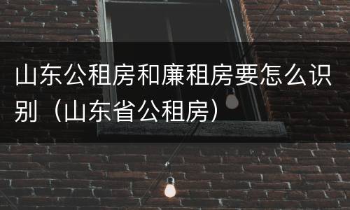 山东公租房和廉租房要怎么识别（山东省公租房）