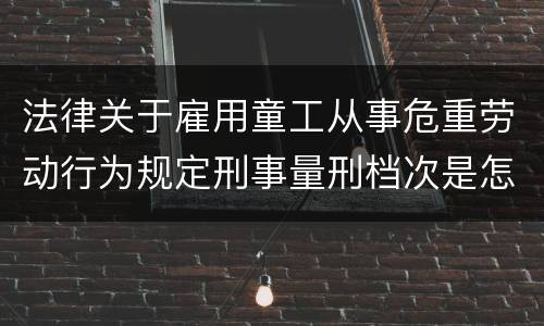 法律关于雇用童工从事危重劳动行为规定刑事量刑档次是怎样