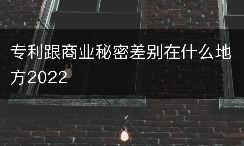 专利跟商业秘密差别在什么地方2022