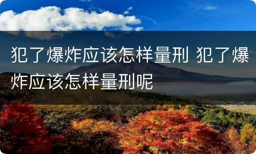 犯了爆炸应该怎样量刑 犯了爆炸应该怎样量刑呢