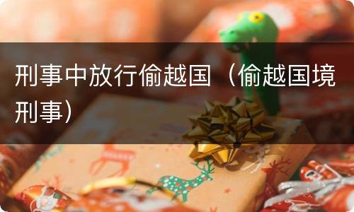 刑事中放行偷越国（偷越国境刑事）