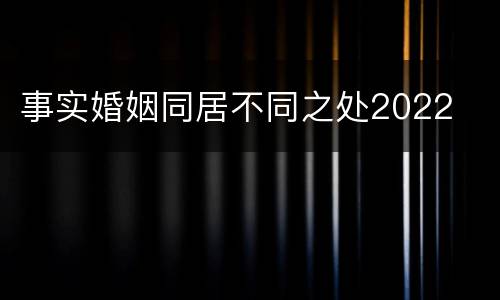 事实婚姻同居不同之处2022
