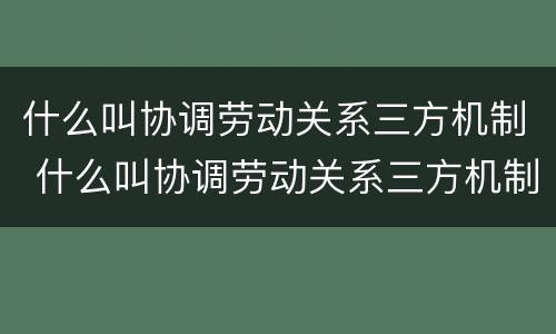 什么叫协调劳动关系三方机制 什么叫协调劳动关系三方机制建设